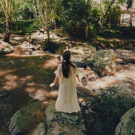 เดอะริเวอร์ แม่กำปอง The River Maekampong Chiang Mai Ban Pok Nai Extérieur photo