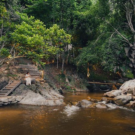 เดอะริเวอร์ แม่กำปอง The River Maekampong Chiang Mai Ban Pok Nai Extérieur photo